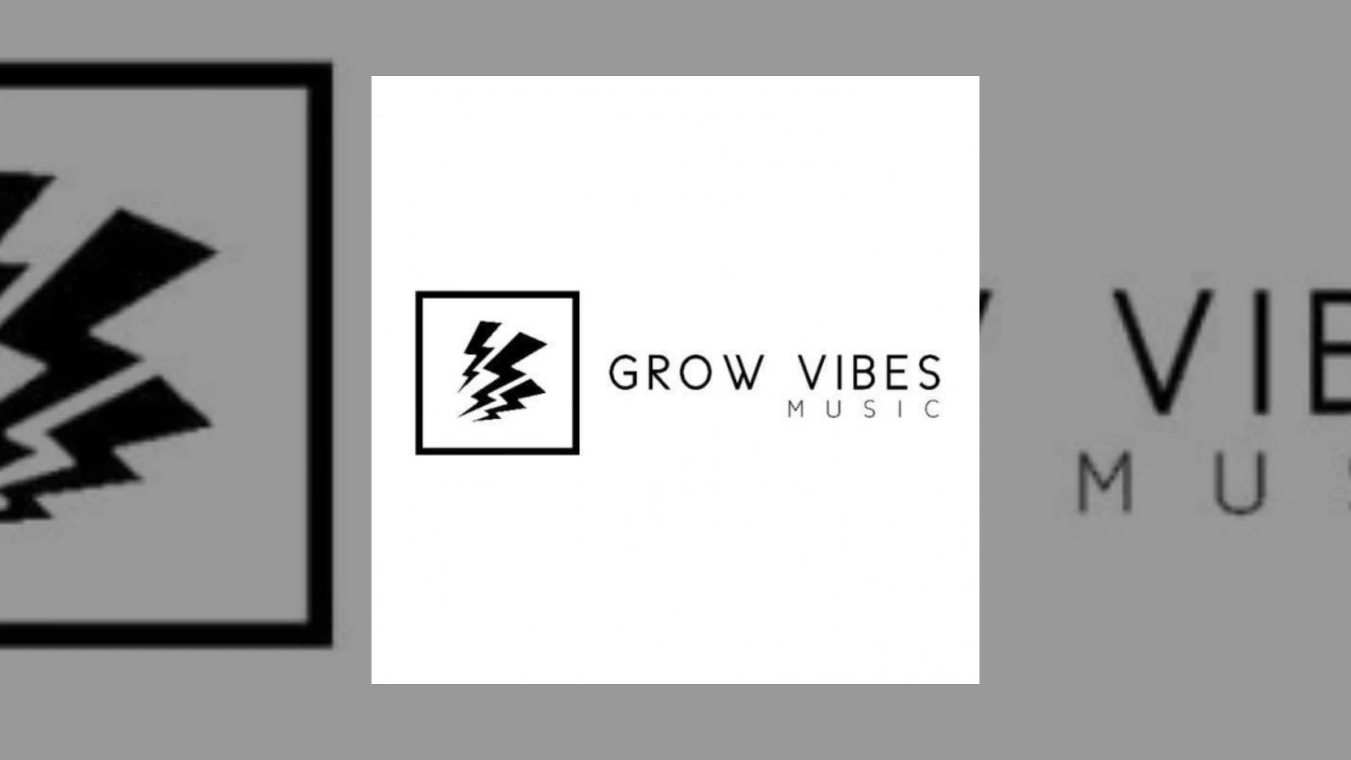 GROW VIBES MUSIC Demo Submission | Contacts, A&R & Label Guide