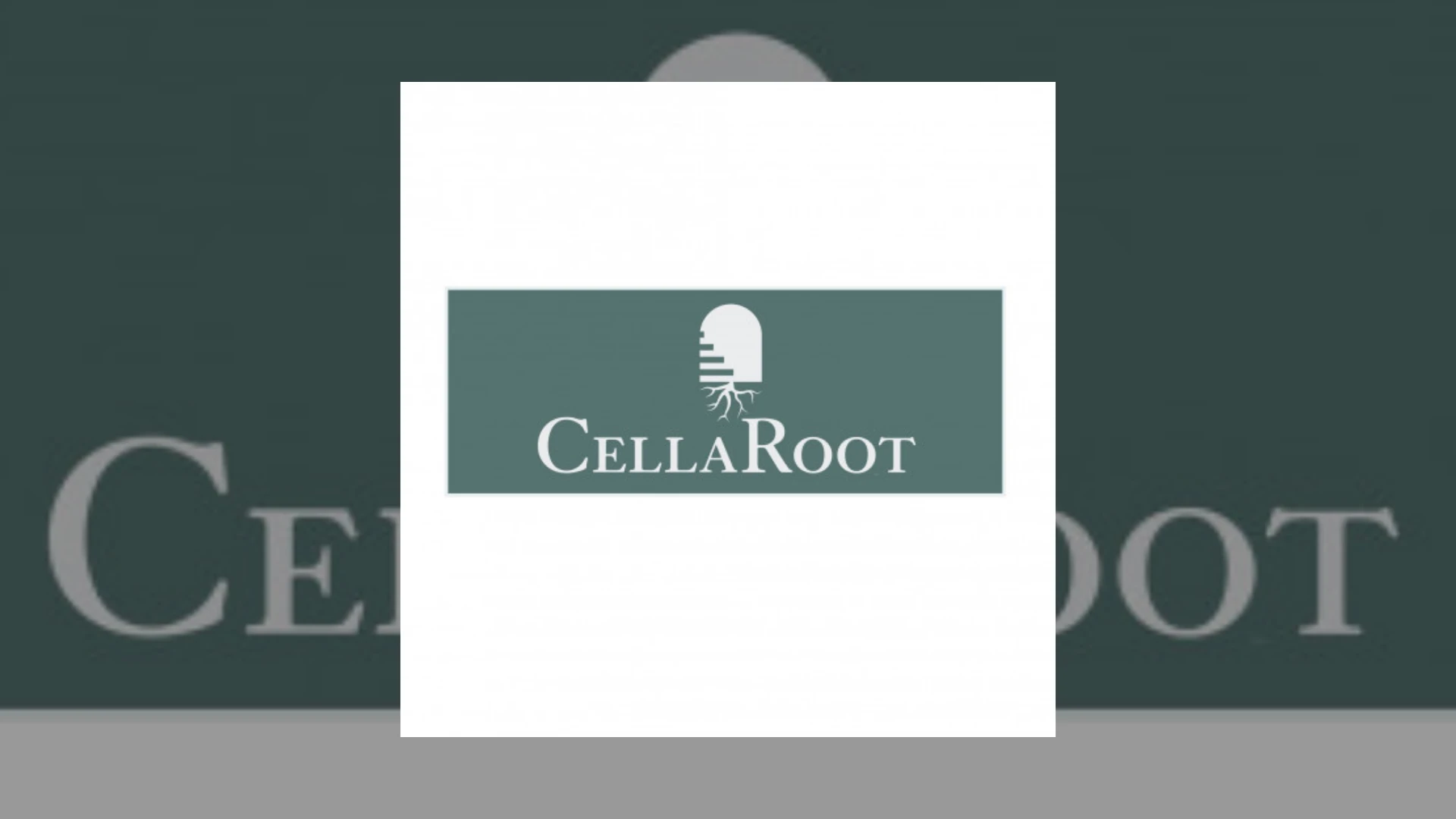 Cellaroot Demo Submission | Contacts, A&R & Label Guide