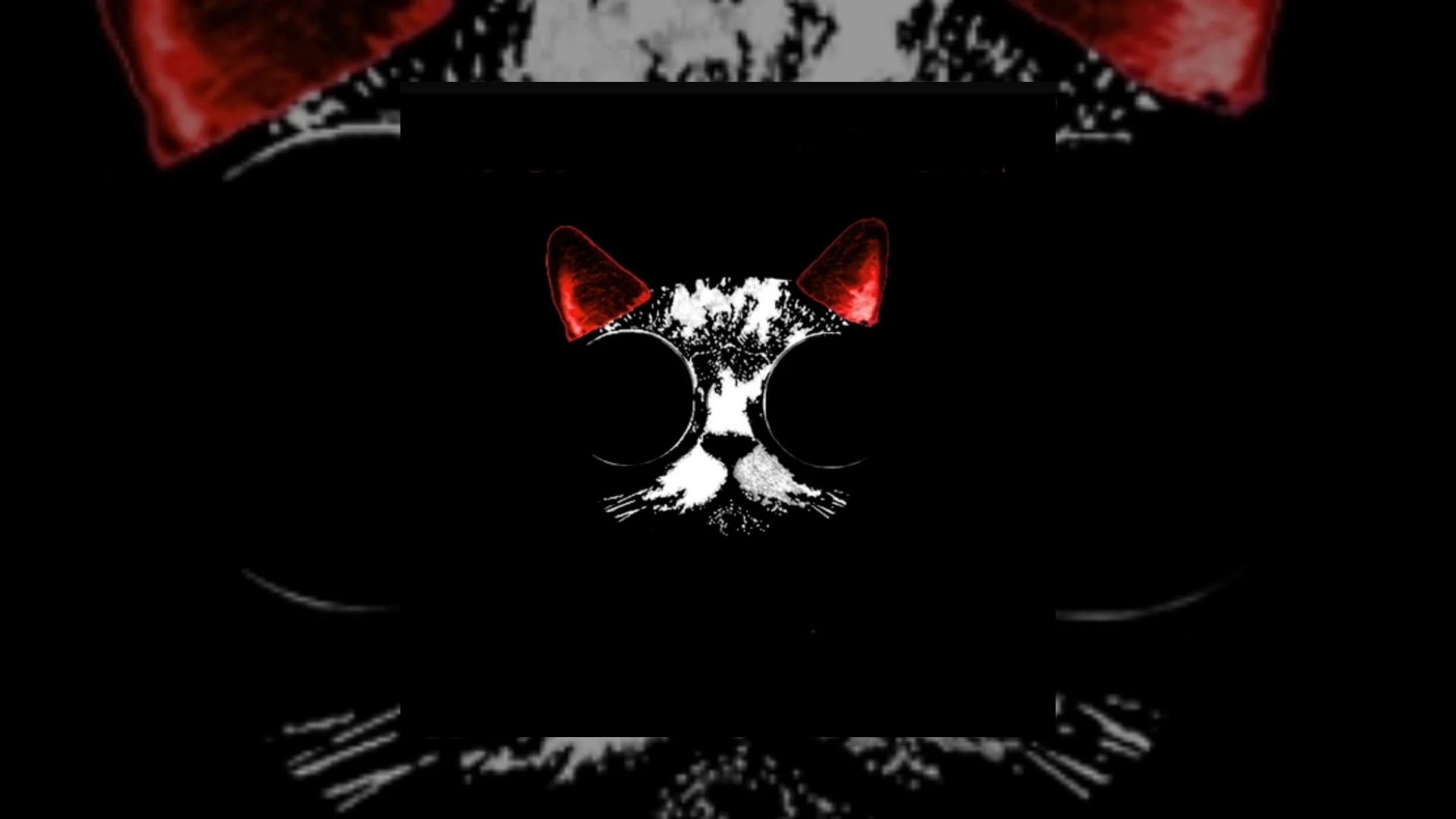 discokat records
