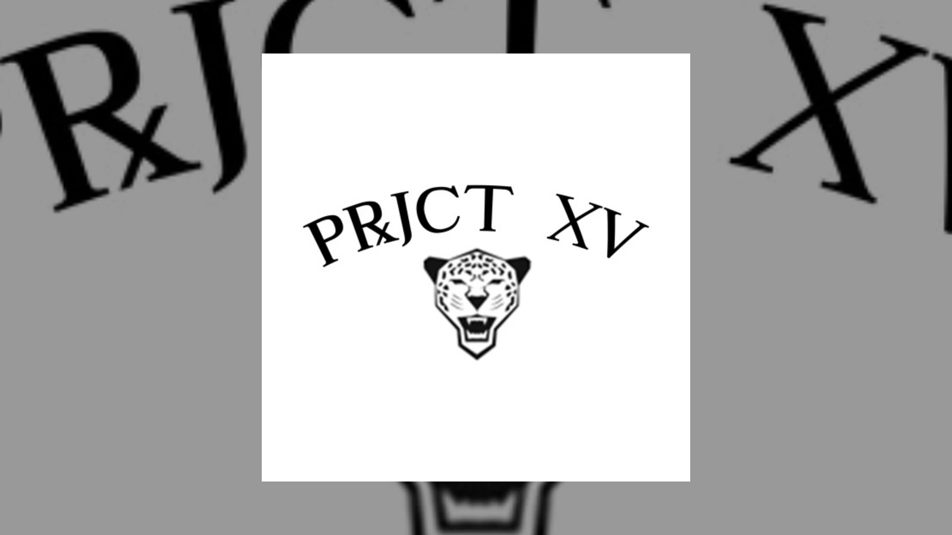 Prjct XV Demo Submission | Contacts, A&R & Label Guide