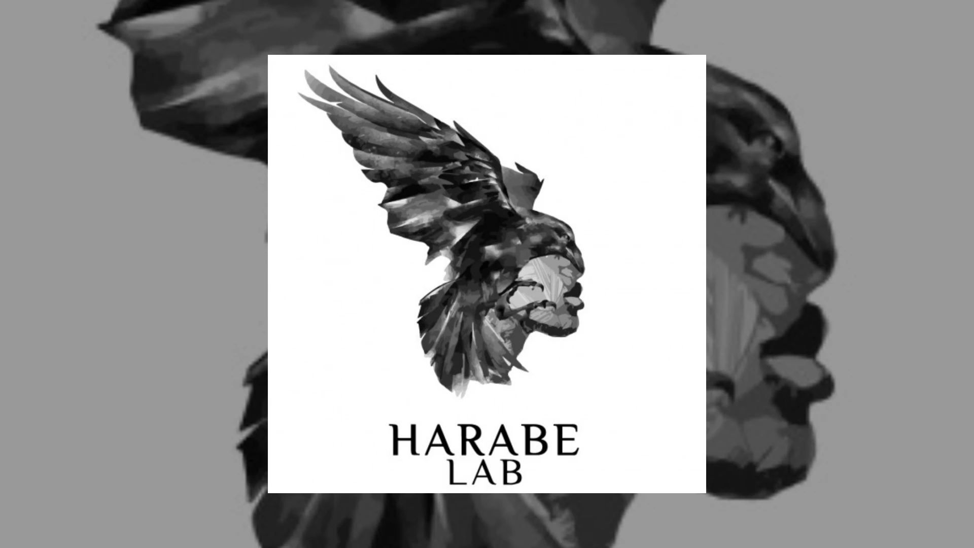 Harabe Lab Demo Submission | Contacts, A&R & Label Guide
