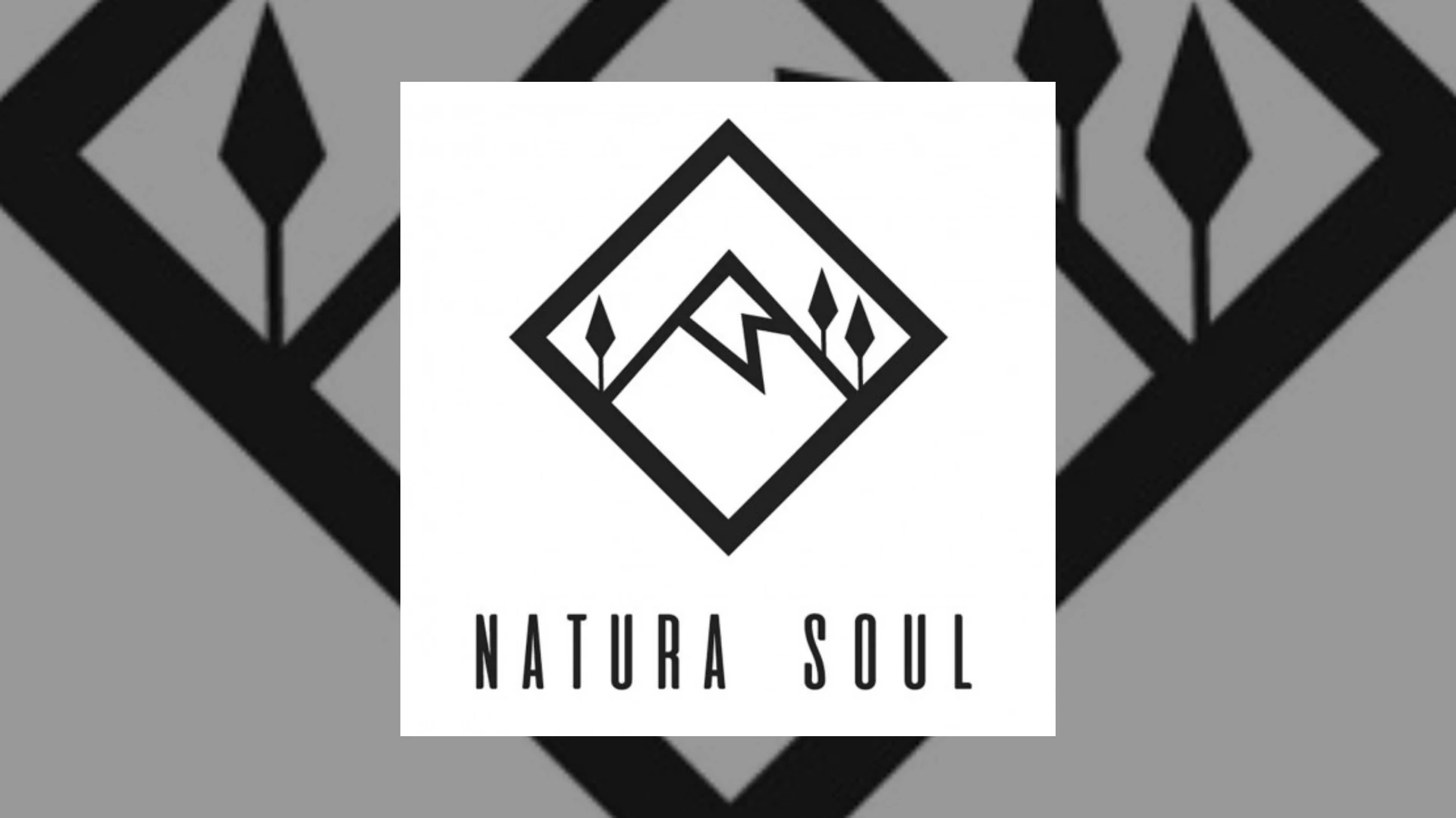 Natura Soul Demo Submission | Contacts, A&R & Label Guide