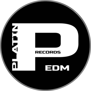 Platin EDM Demo Submission | Contacts, A&R & Label Guide