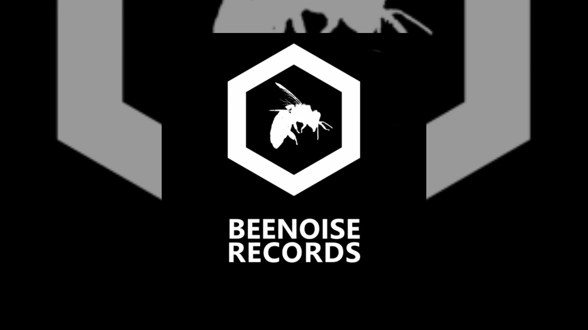 beenoise records