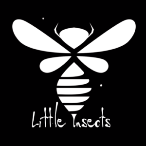 Little Insects Demo Submission | Contacts, A&R & Label Guide