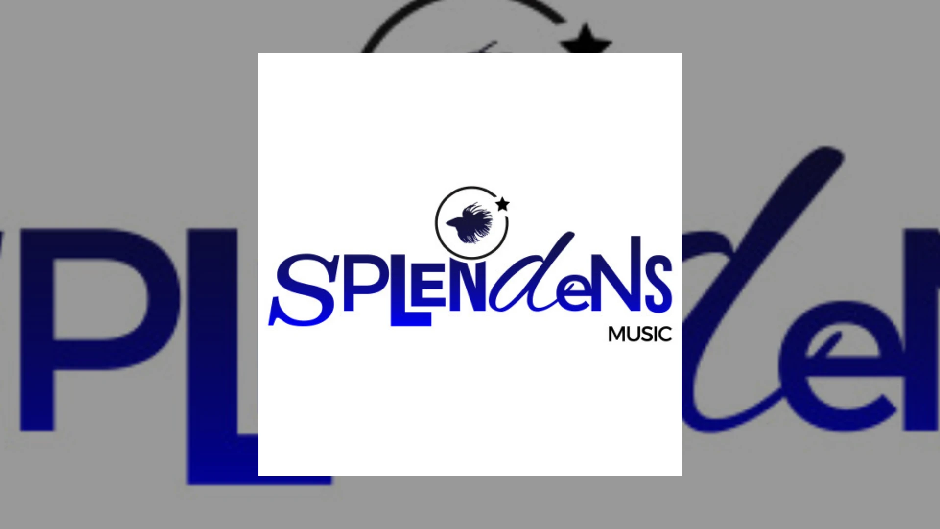 splendens music