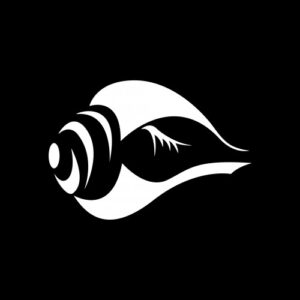 Hela Recordings Demo Submission | Contacts, A&R & Label Guide