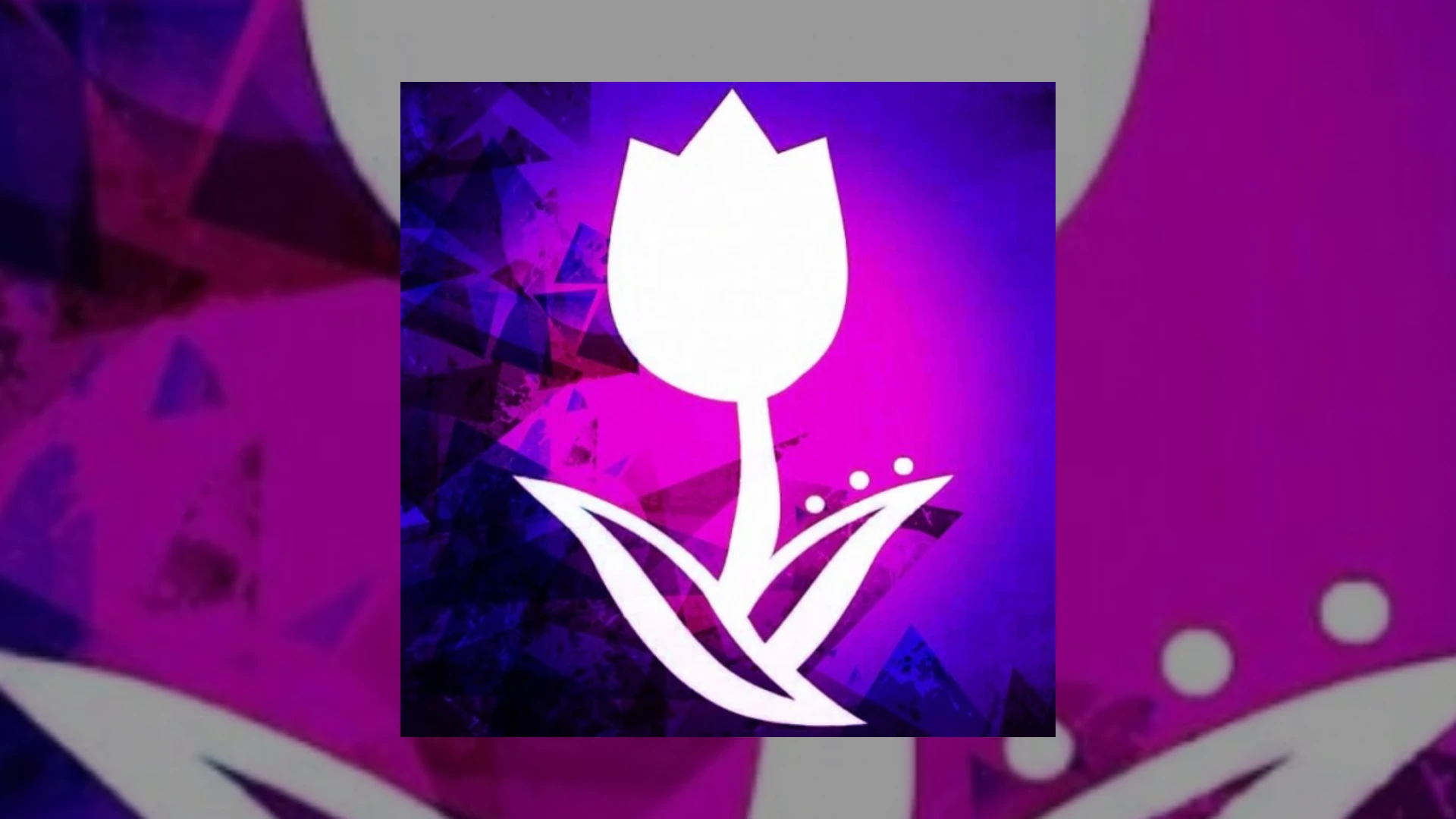 Tulipe Records Demo Submission | Contacts, A&R & Label Guide