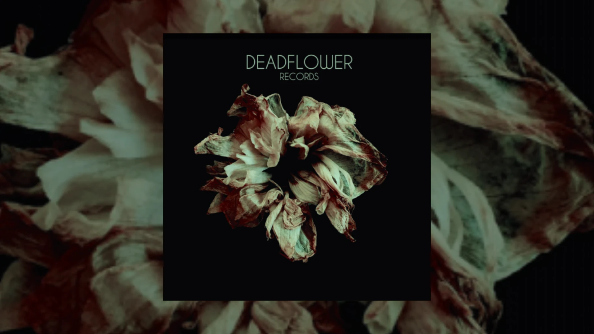 deadflower records