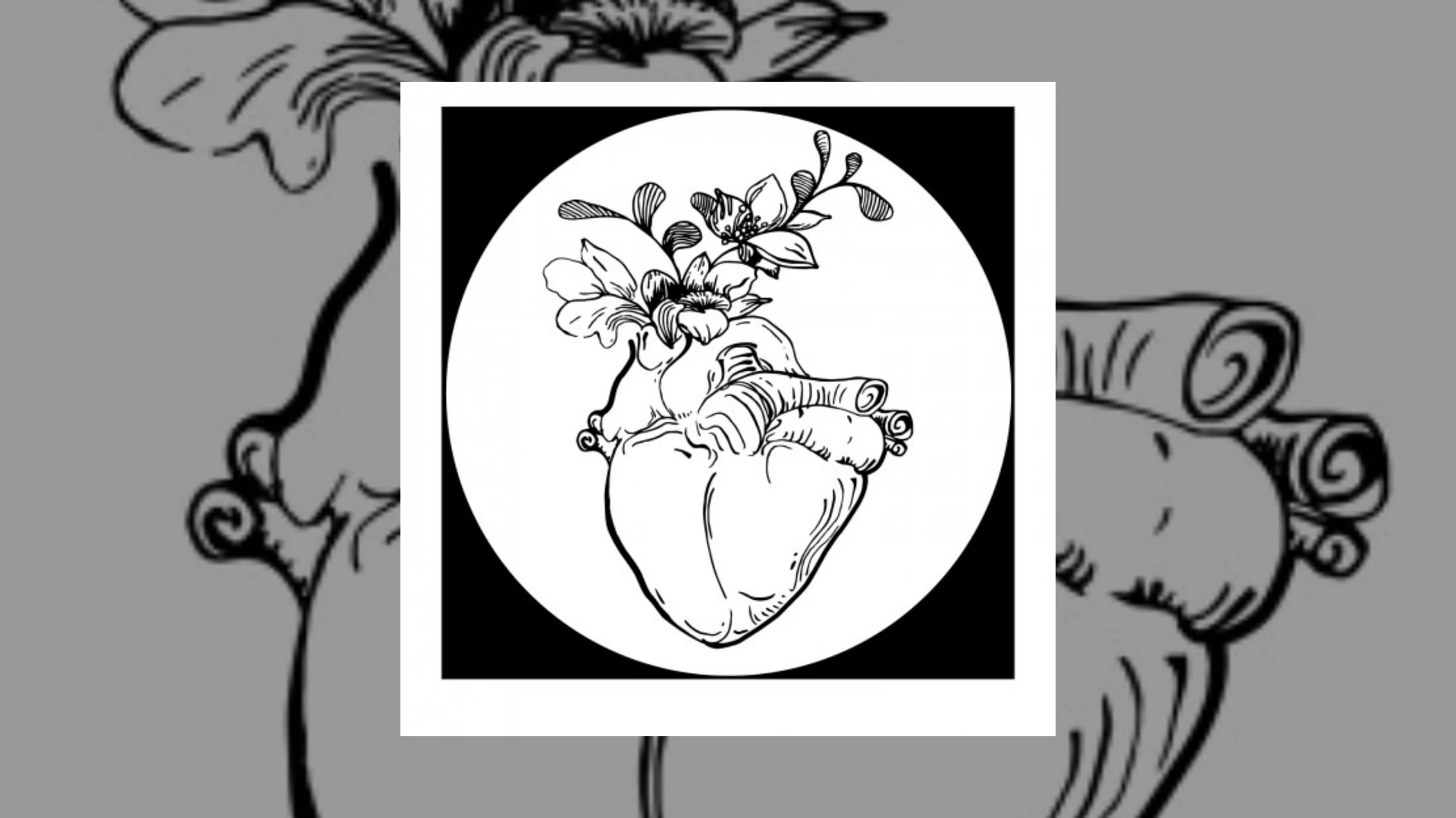 Hearth Records Demo Submission | Contacts, A&R & Label Guide