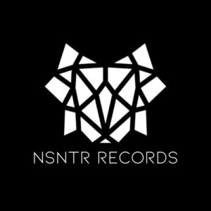NSNTR Records Demo Submission | Contacts, A&R & Label Guide