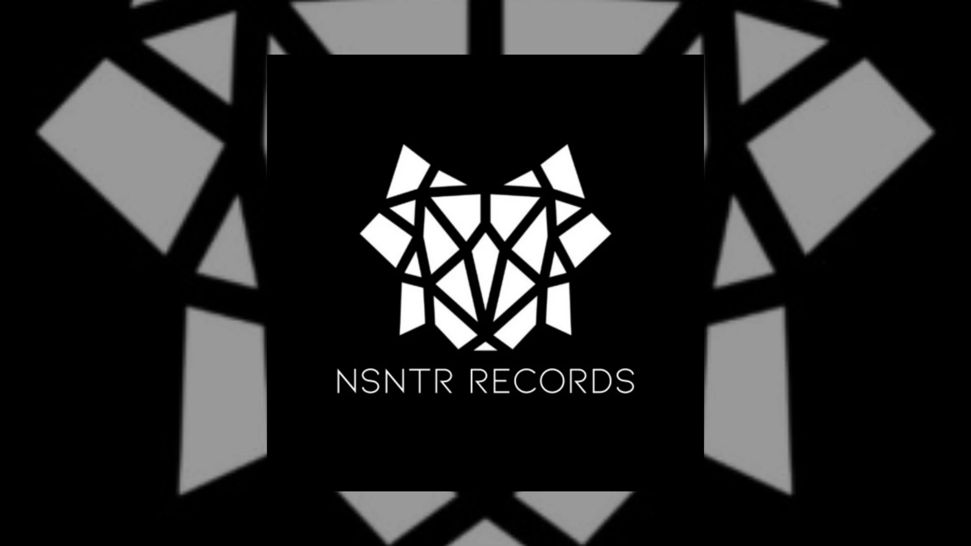 NSNTR Records Demo Submission | Contacts, A&R & Label Guide