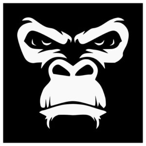 Monkey B Studio Demo Submission | Contacts, A&R & Label Guide