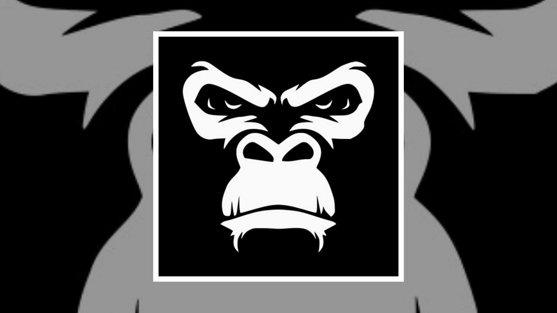 Monkey B Studio Demo Submission | Contacts, A&R & Label Guide