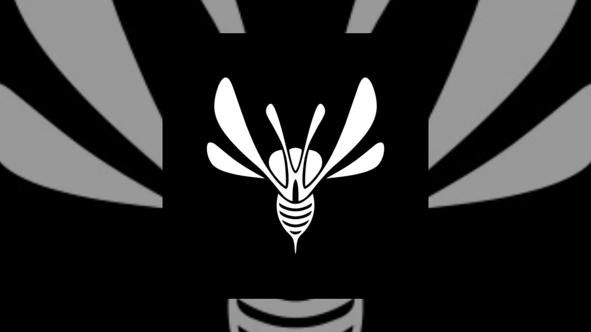 wasp records