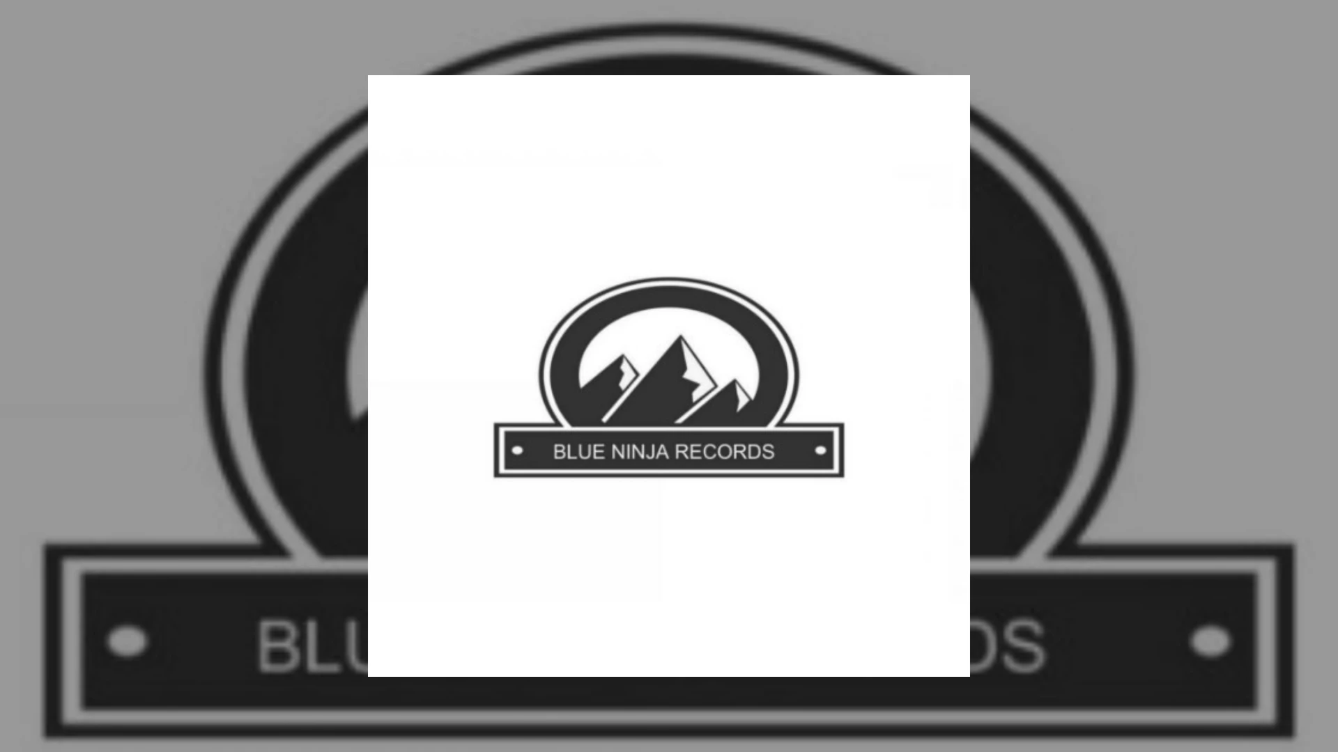Blue Ninja Records Demo Submission | Contacts, A&R & Label Guide