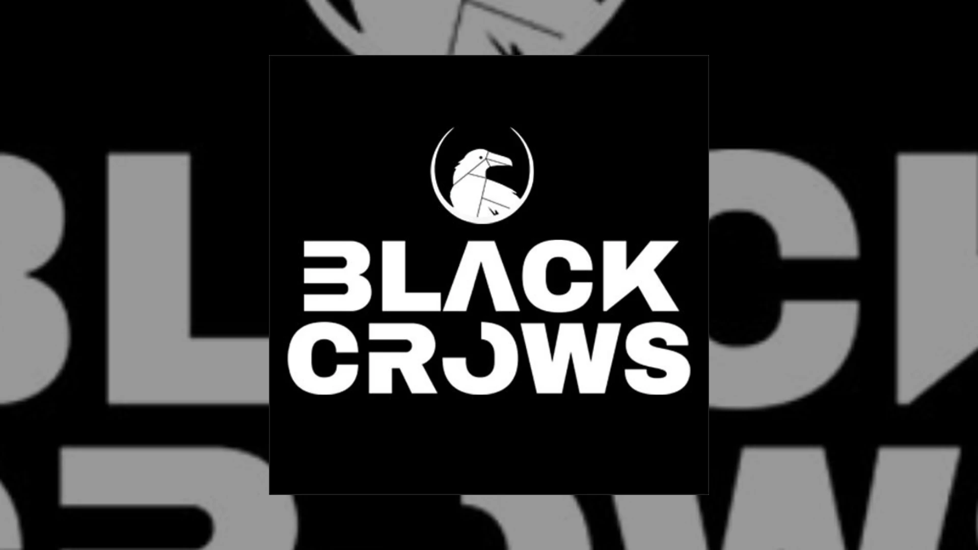 Black Crows Demo Submission | Contacts, A&R & Label Guide