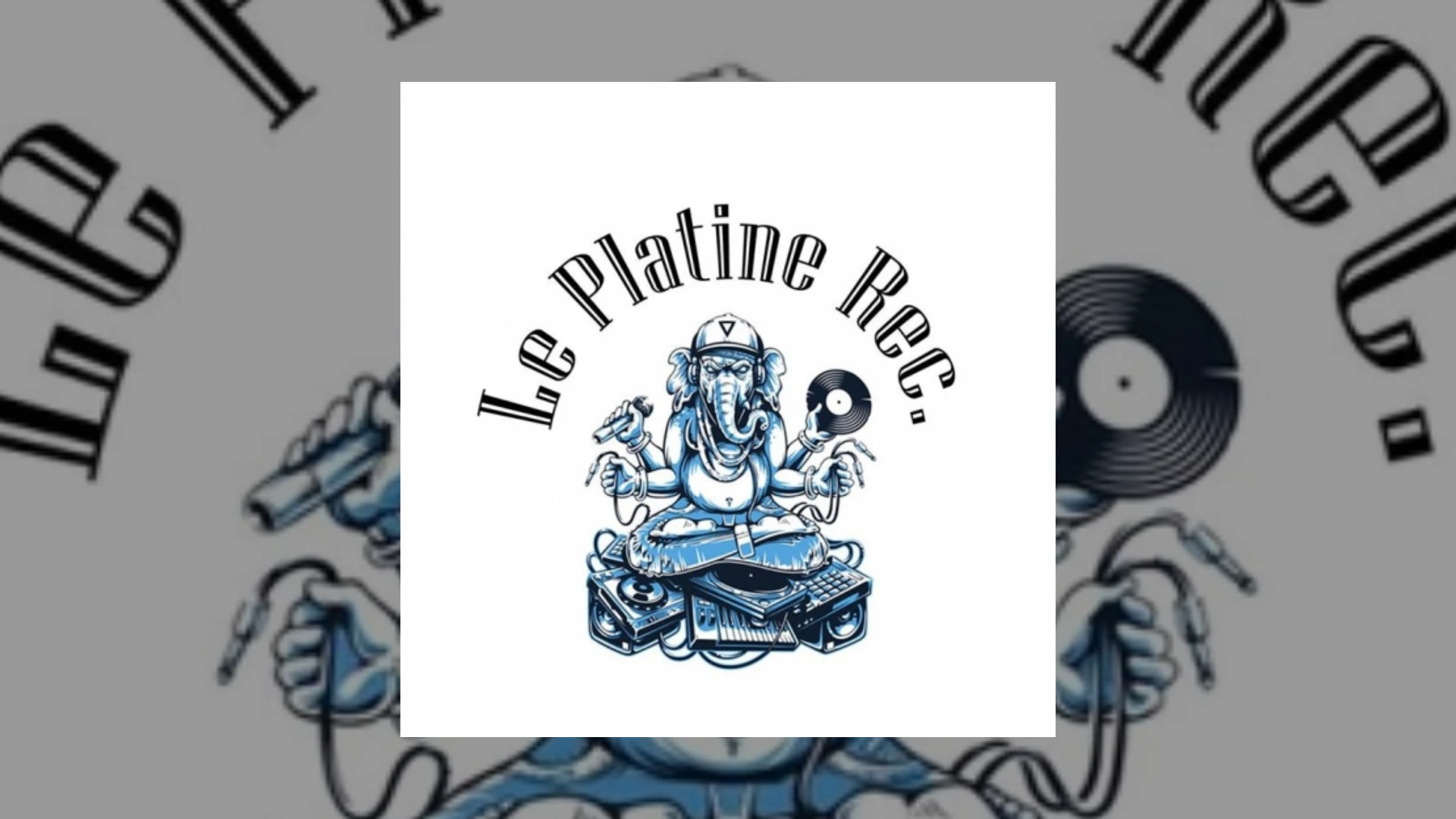 Le Platine Records Demo Submission | Contacts, A&R & Label Guide