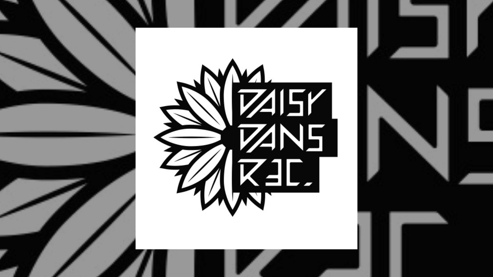 daisy dans records