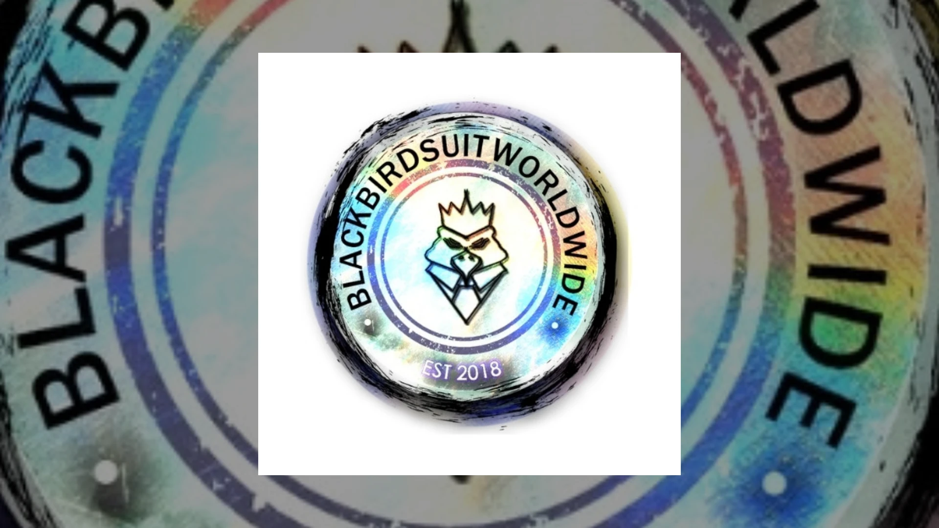 BLACKBIRDSUIT WORLDWIDE RECORDS Demo Submission | Contacts, A&R & Label Guide