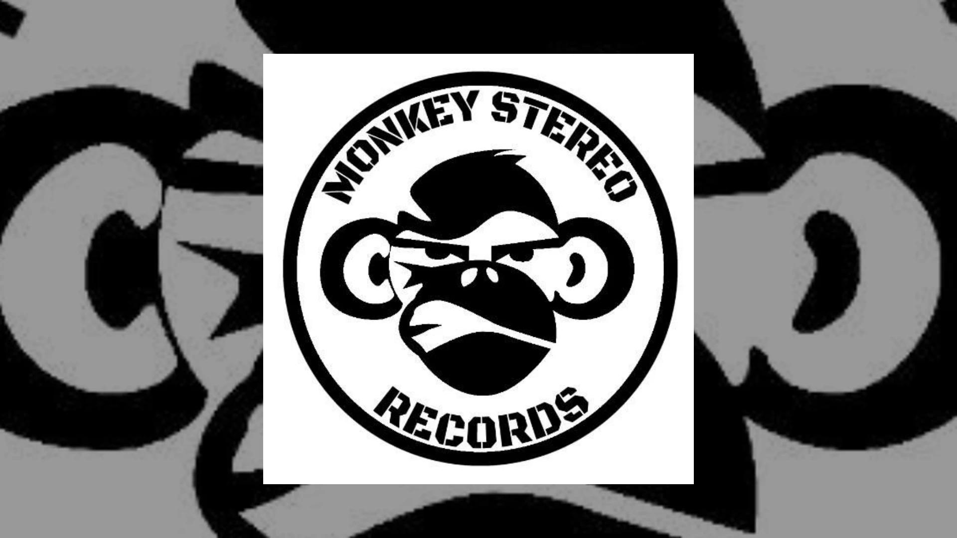 monkey stereo records
