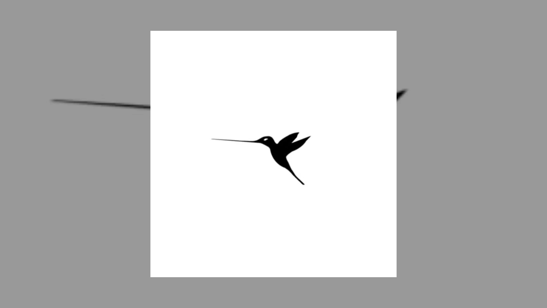 flymusik