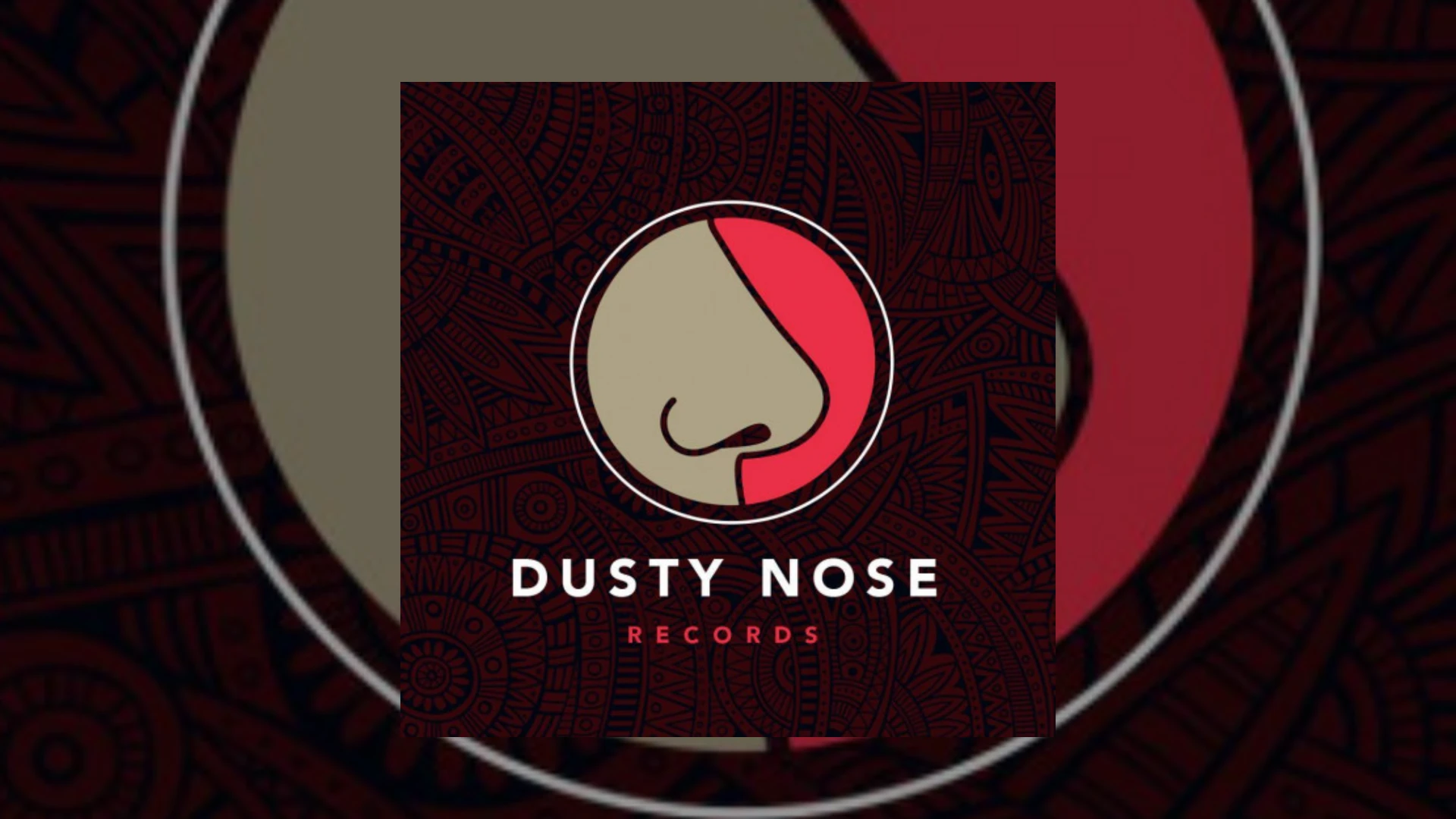 Dusty Nose Demo Submission | Contacts, A&R & Label Guide