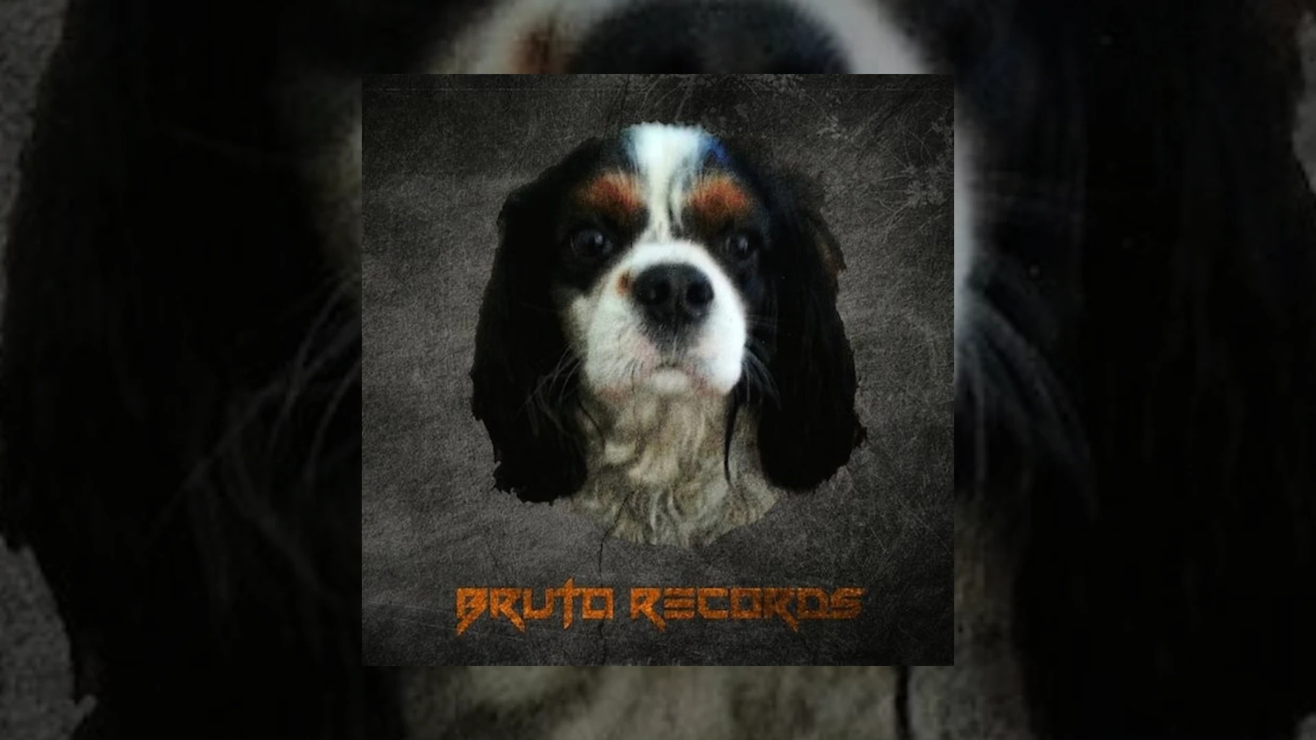 Bruto Records Demo Submission | Contacts, A&R & Label Guide
