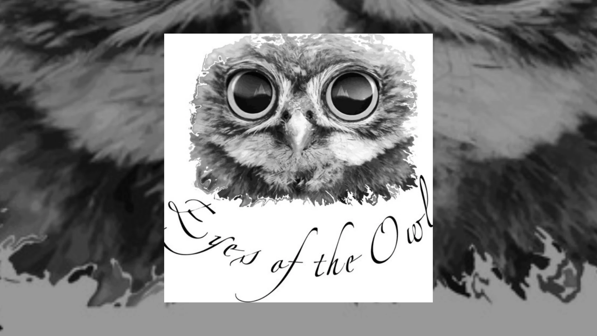 Eyes Of The Owl Demo Submission | Contacts, A&R & Label Guide