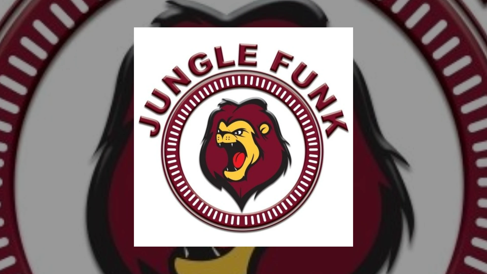Jungle Funk Recordings Demo Submission | Contacts, A&R & Label Guide