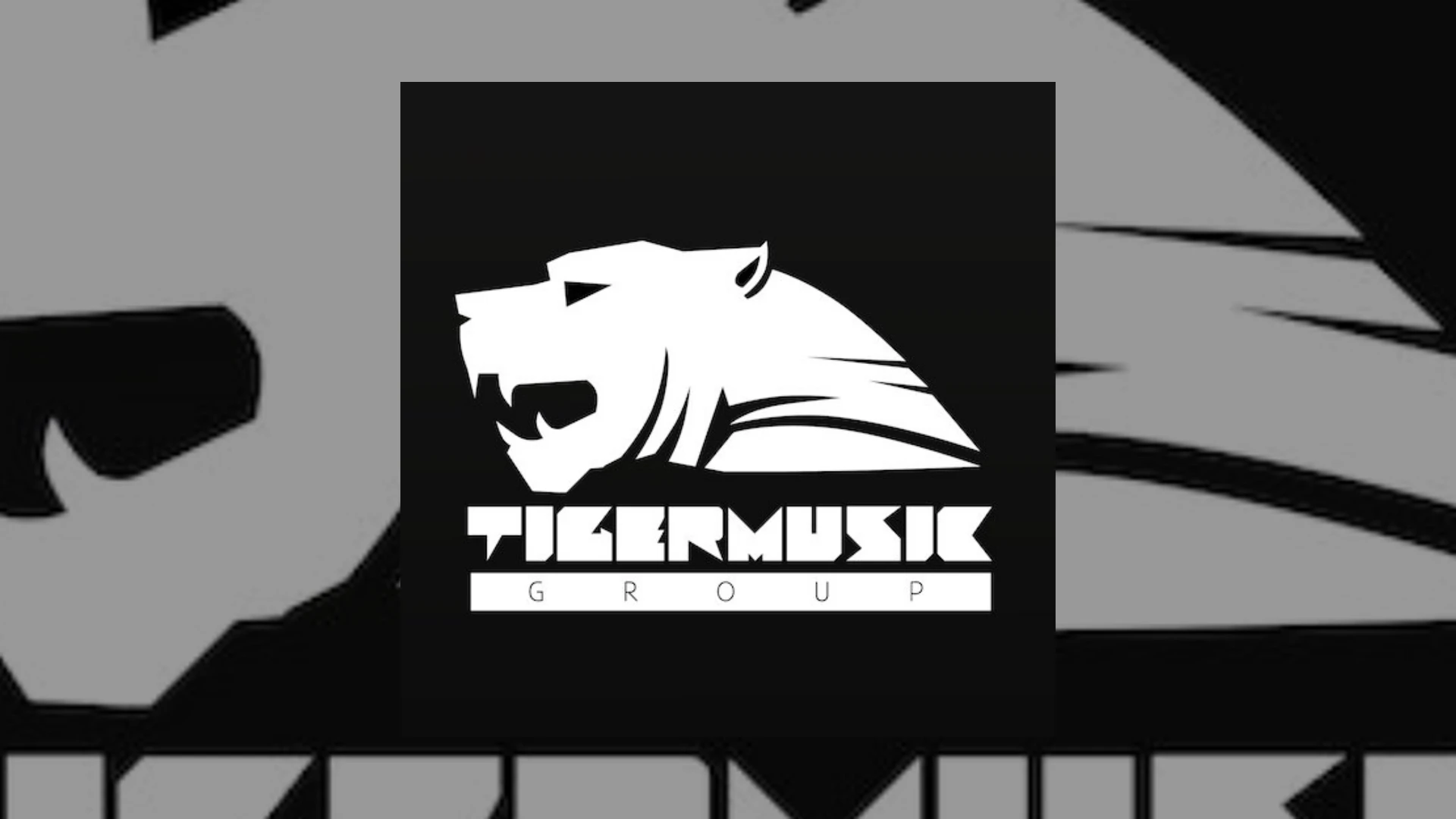 Tiger Music Group Demo Submission | Contacts, A&R & Label Guide