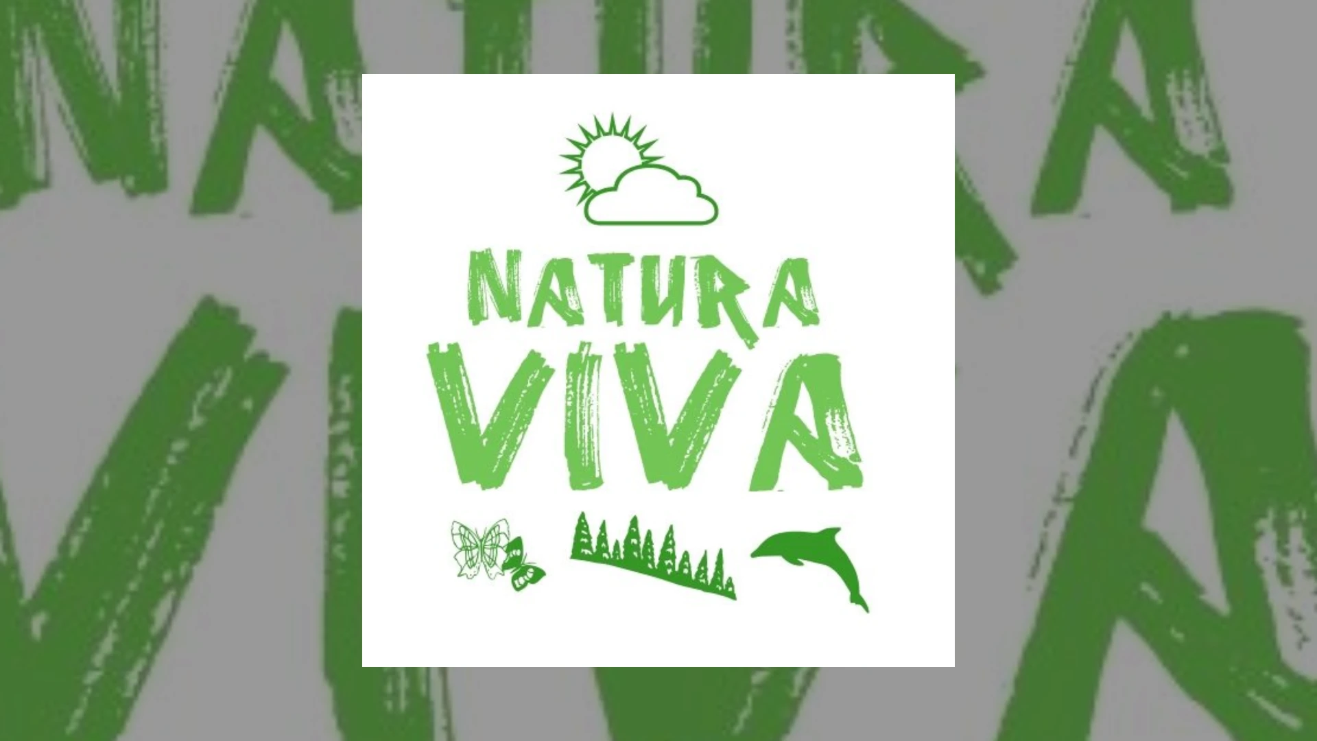Natura Viva Demo Submission | Contacts, A&R & Label Guide