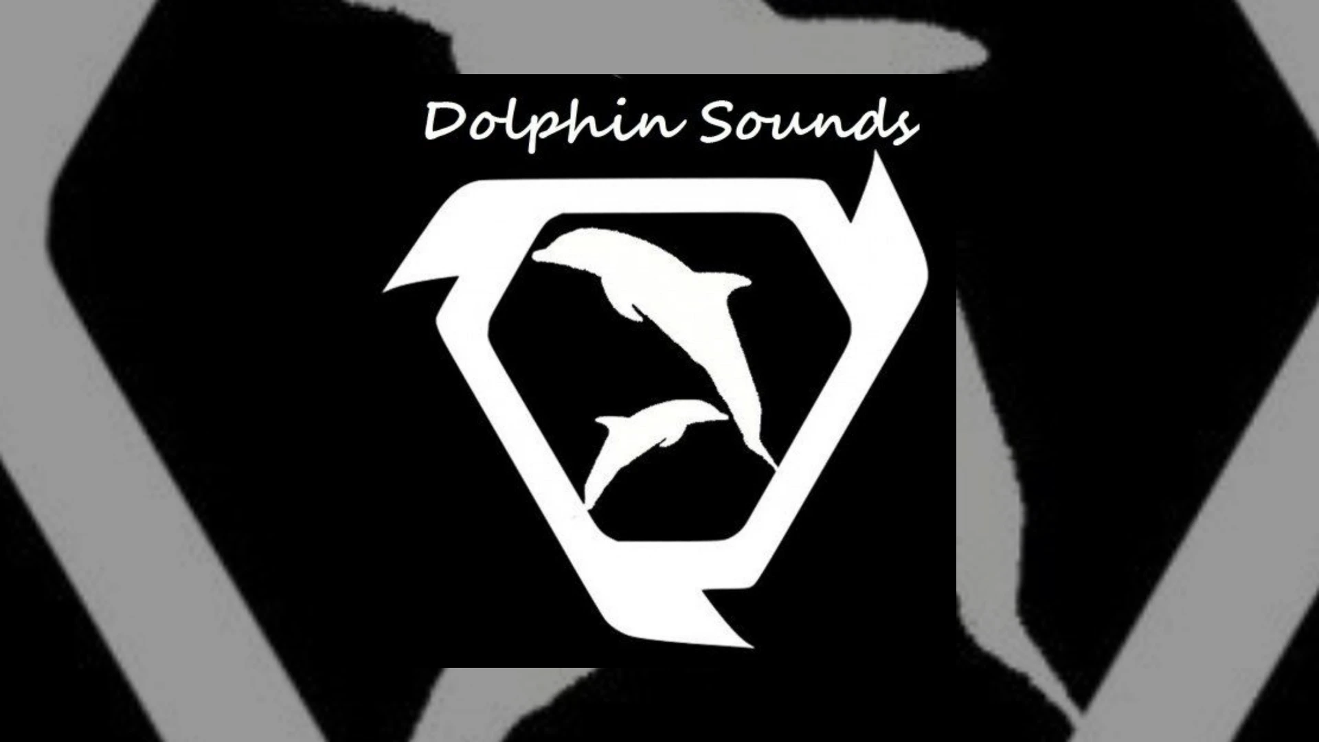Dolphin Sounds Demo Submission | Contacts, A&R & Label Guide