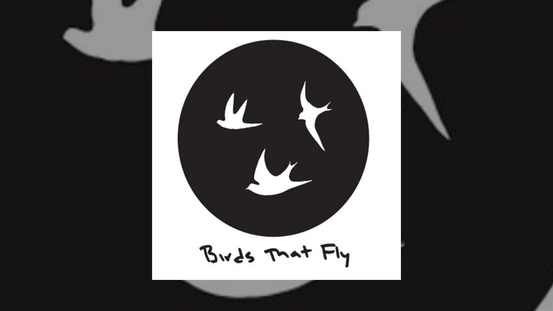Birds That Fly Demo Submission | Contacts, A&R & Label Guide