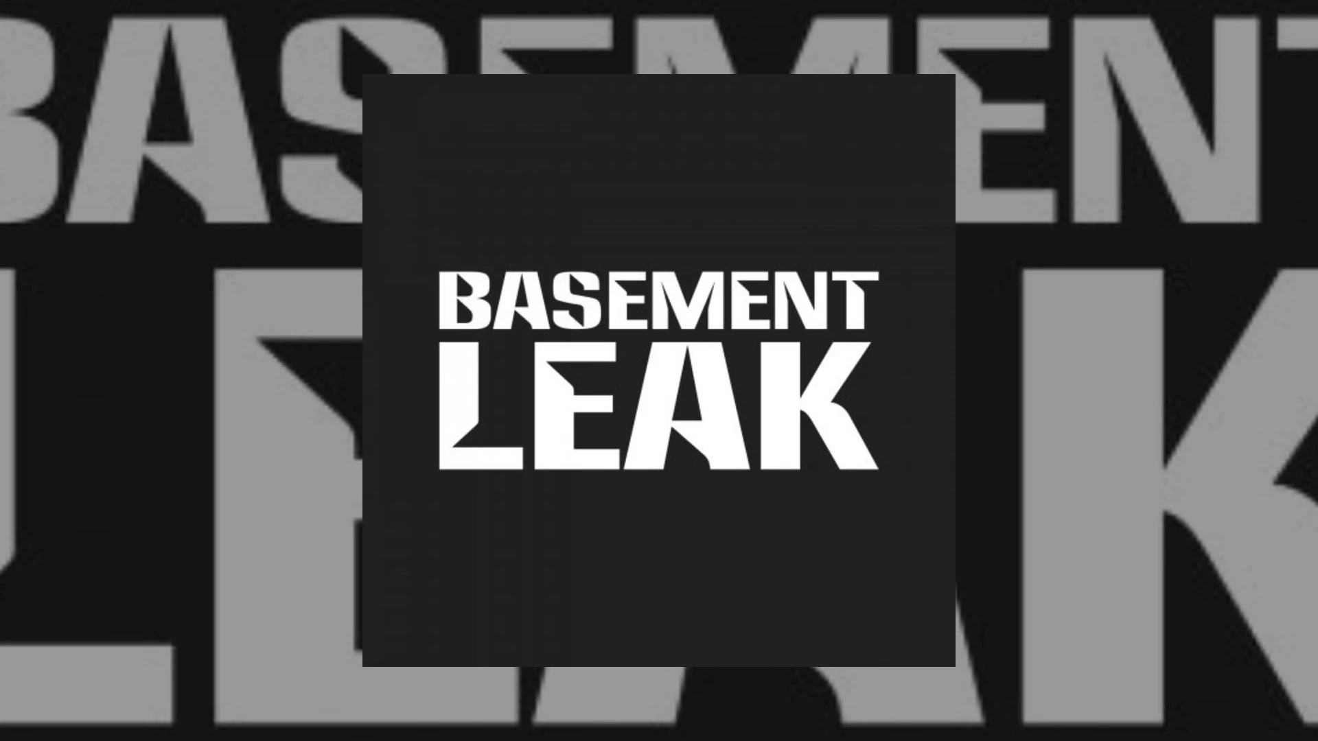 Basement Leak Demo Submission | Contacts, A&R & Label Guide