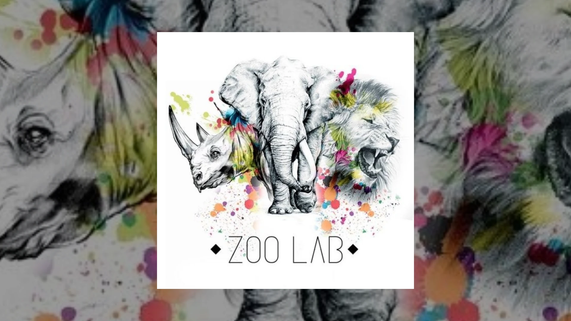 Zoo Lab Demo Submission | Contacts, A&R & Label Guide