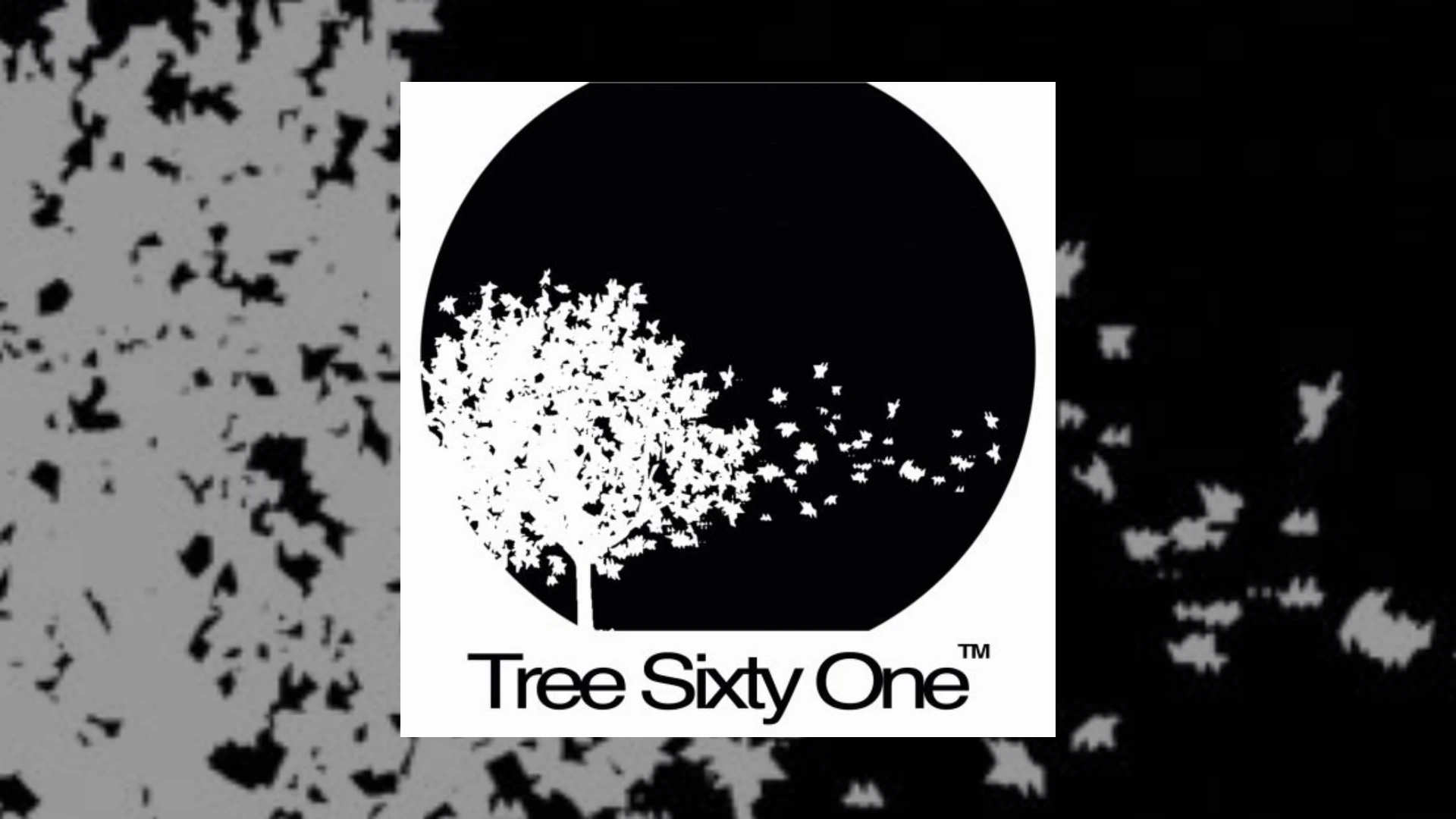 tree sixty one
