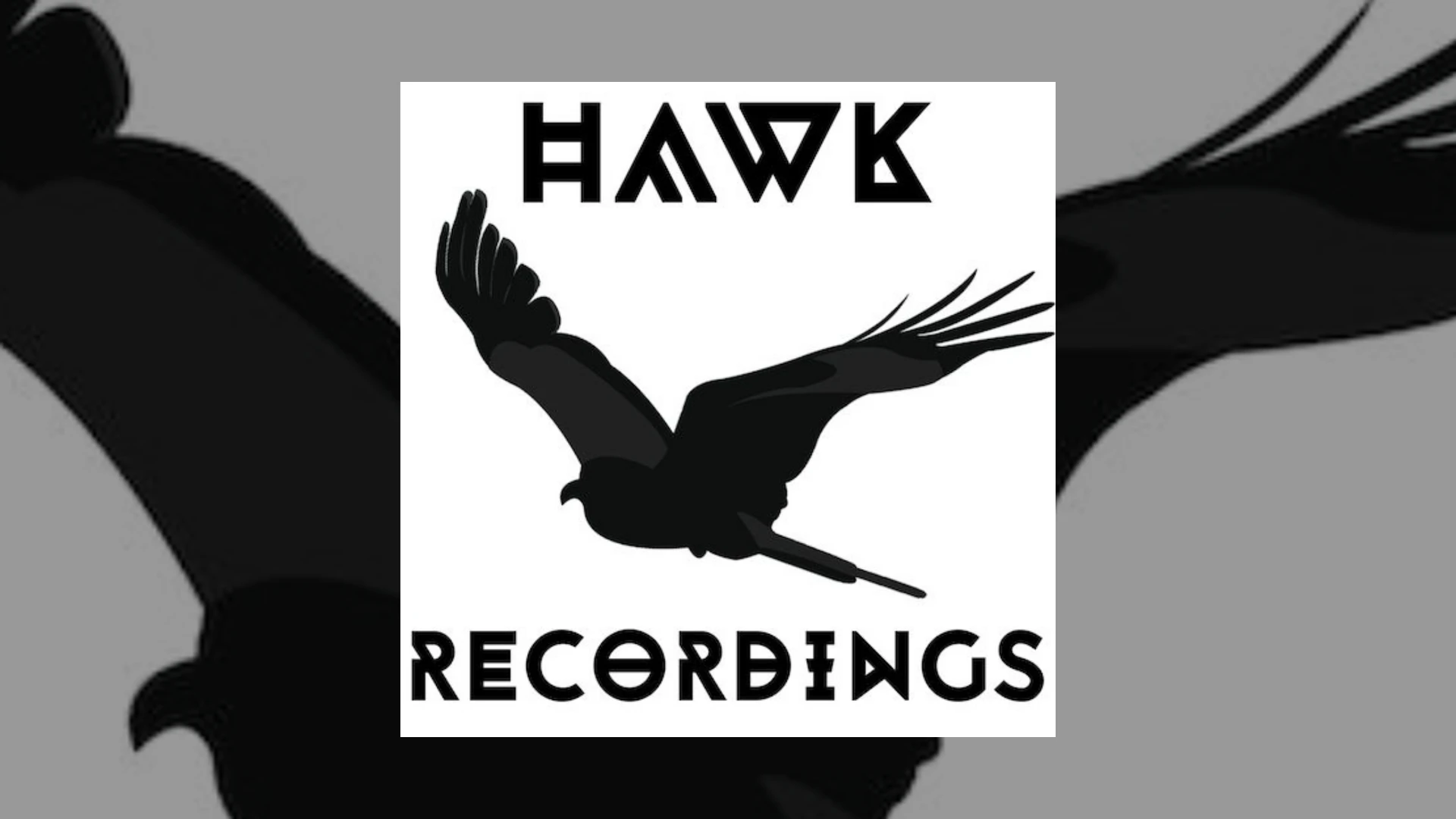 hawk recordings