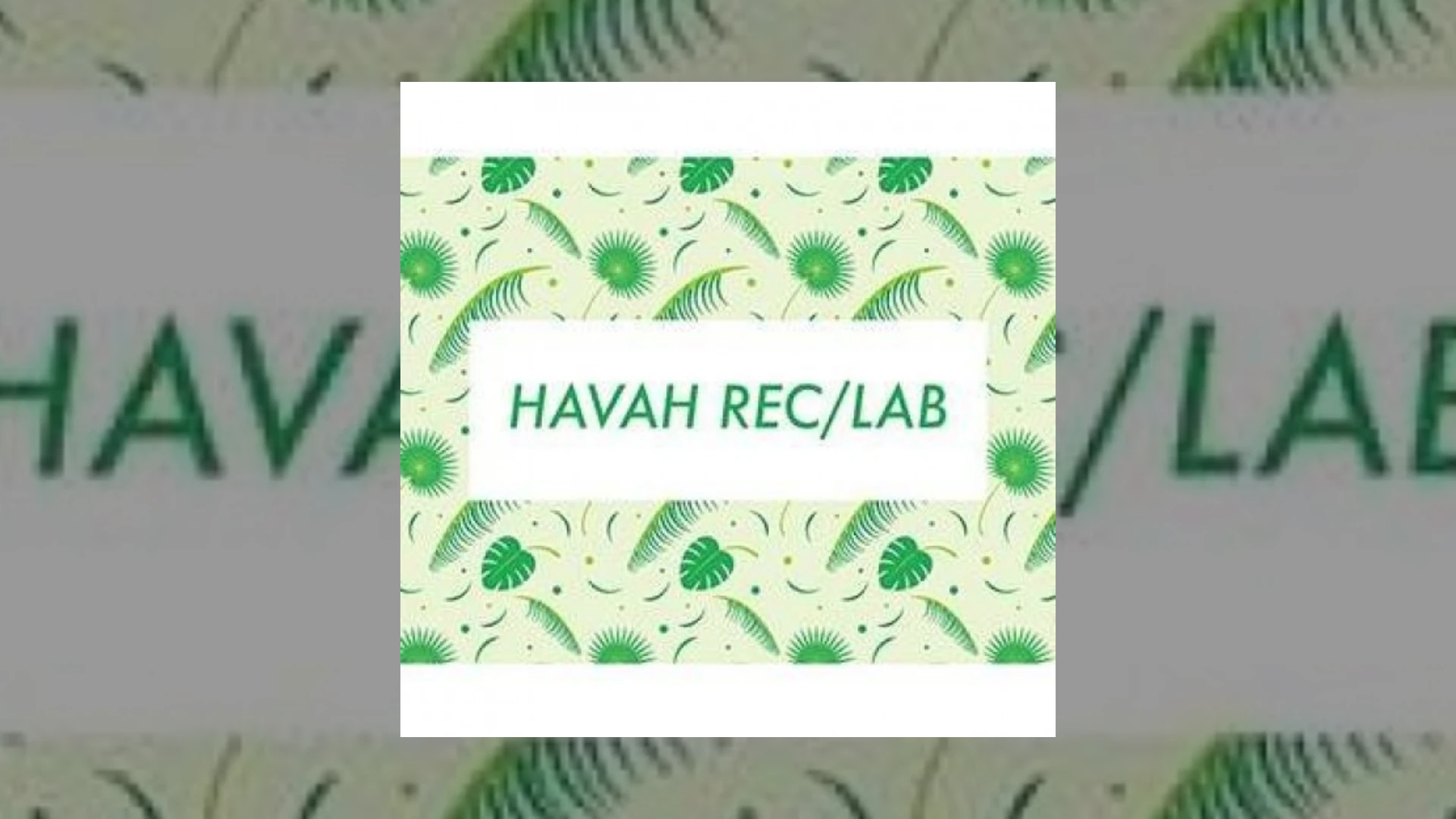 havah rec lab