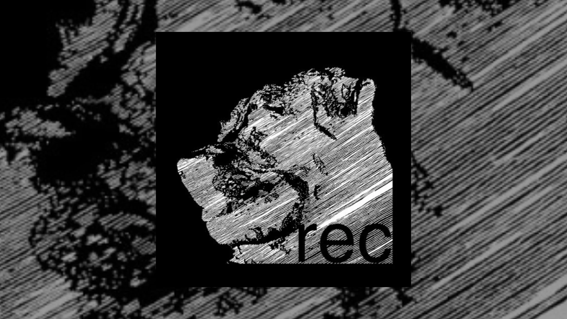 dog records