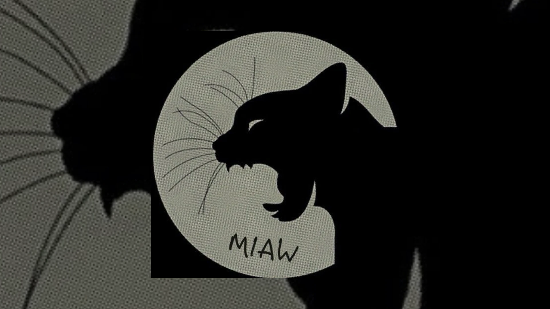 Miaw Demo Submission | Contacts, A&R & Label Guide