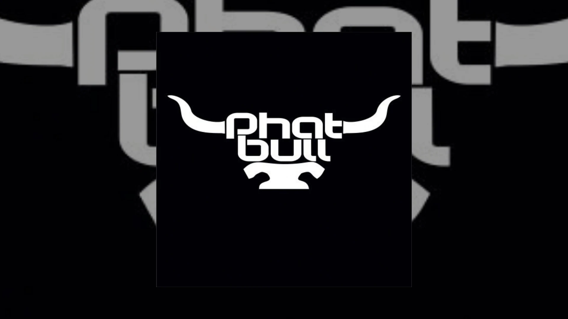 Phatbull Demo Submission | Contacts, A&R & Label Guide