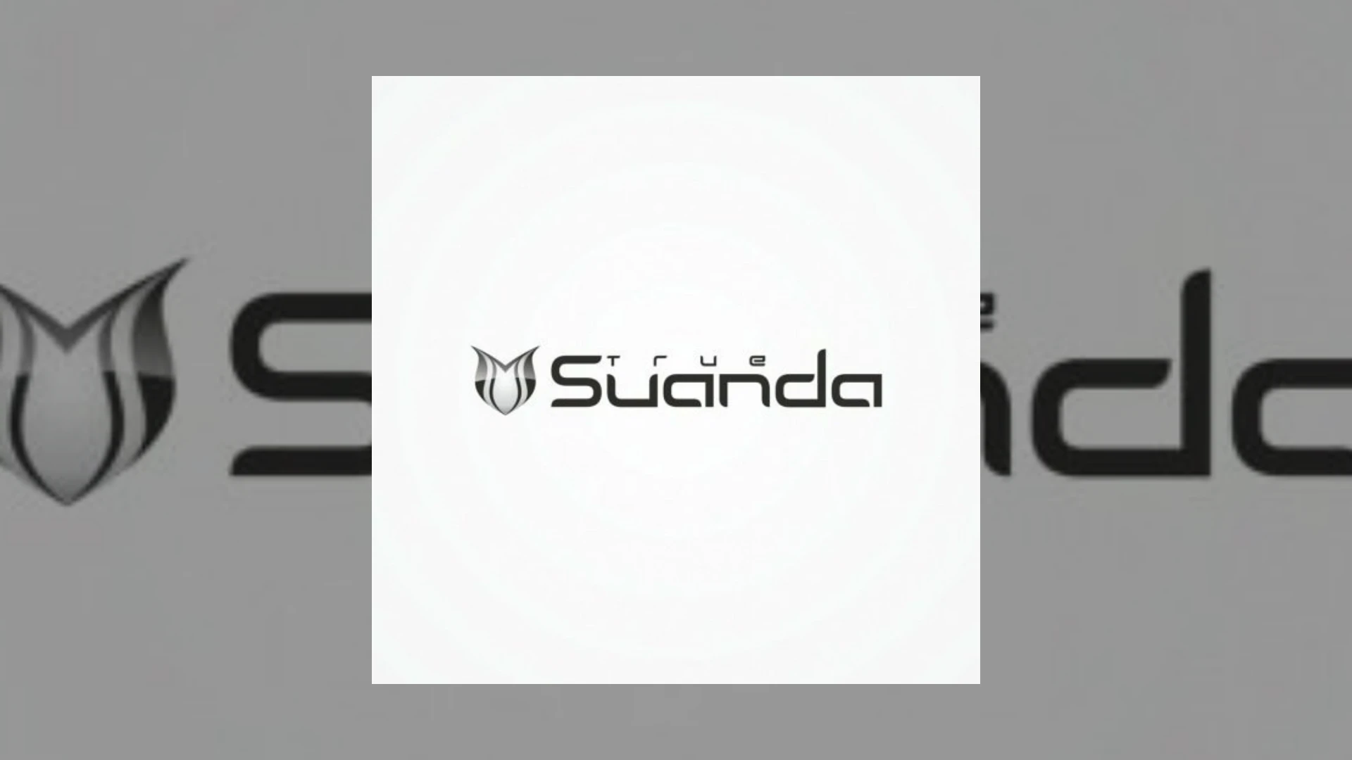 Suanda True Demo Submission | Contacts, A&R & Label Guide