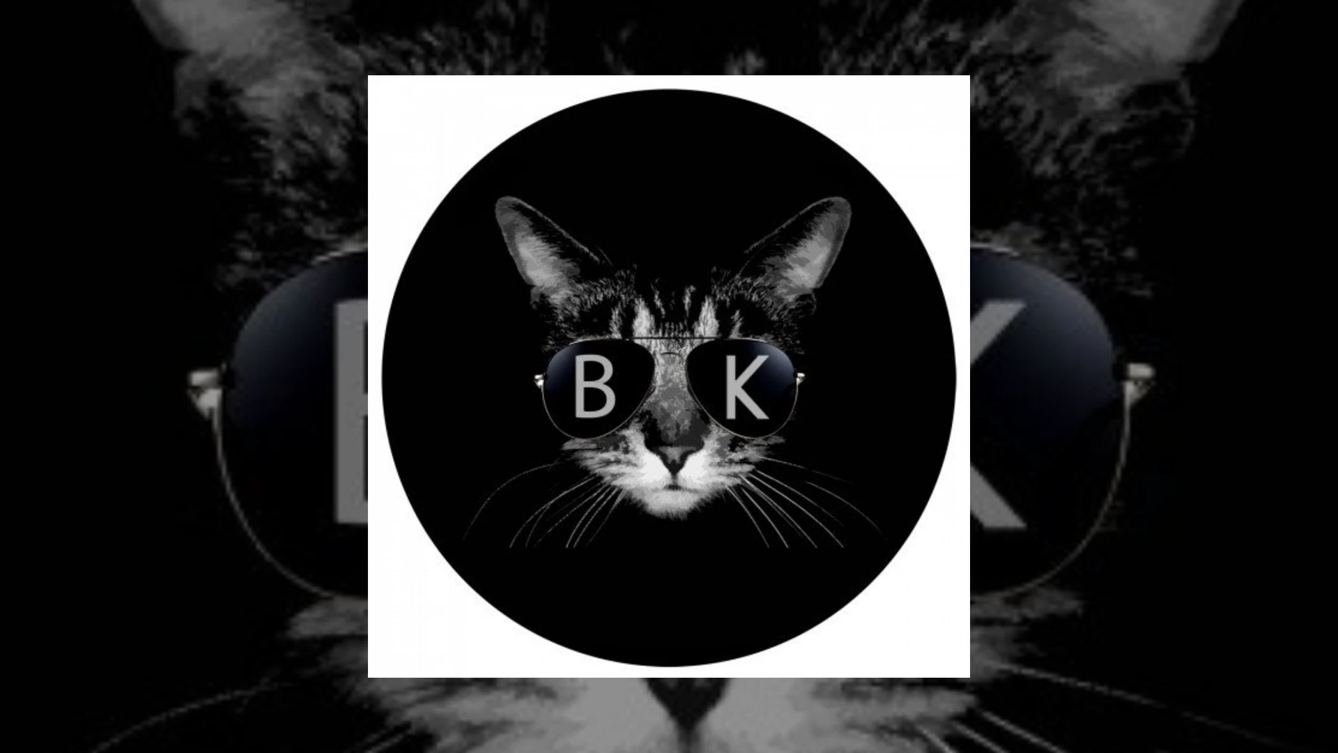 Black Kat Demo Submission | Contacts, A&R & Label Guide