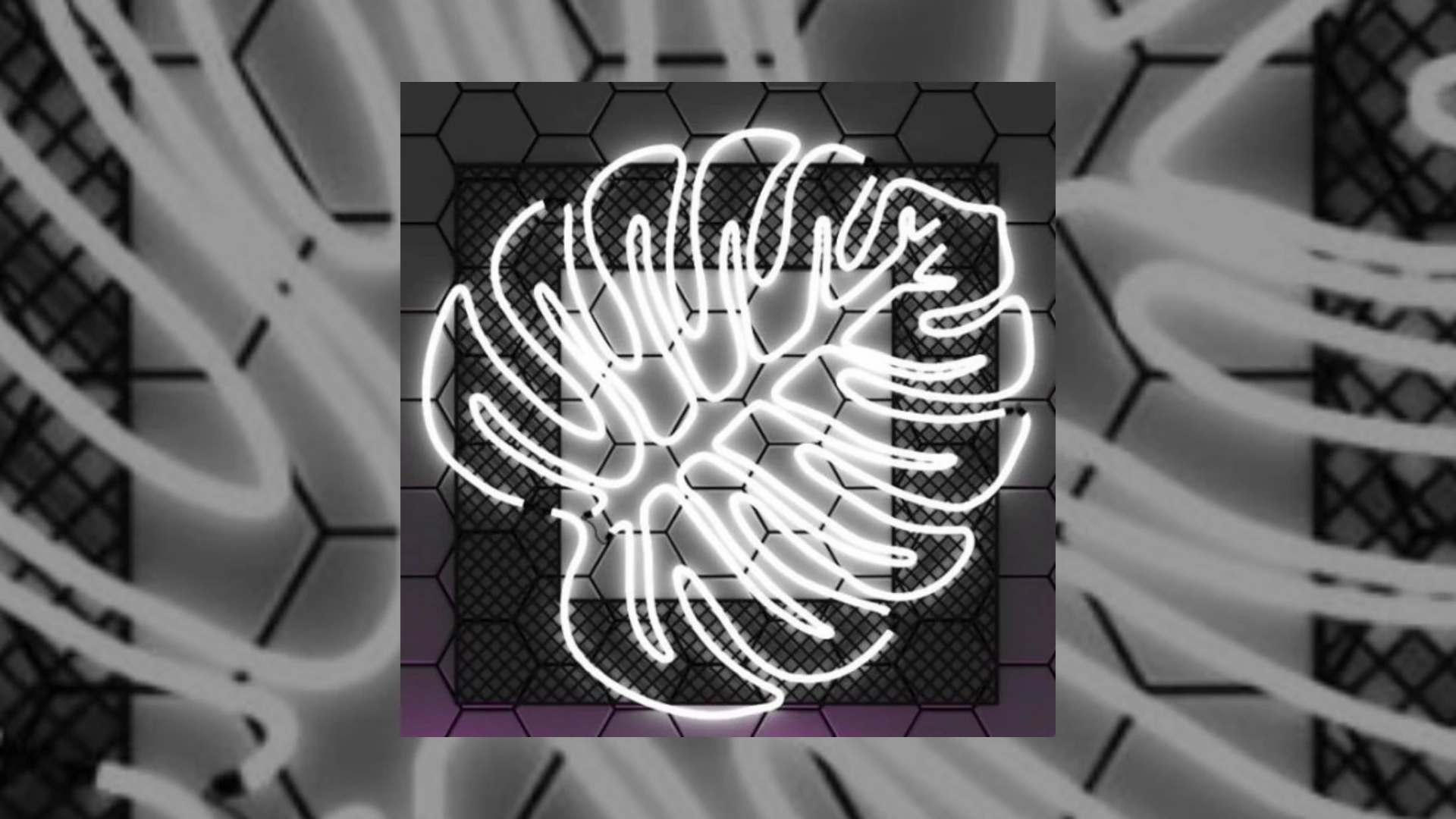 Aesthetic Vibes Demo Submission | Contacts, A&R & Label Guide