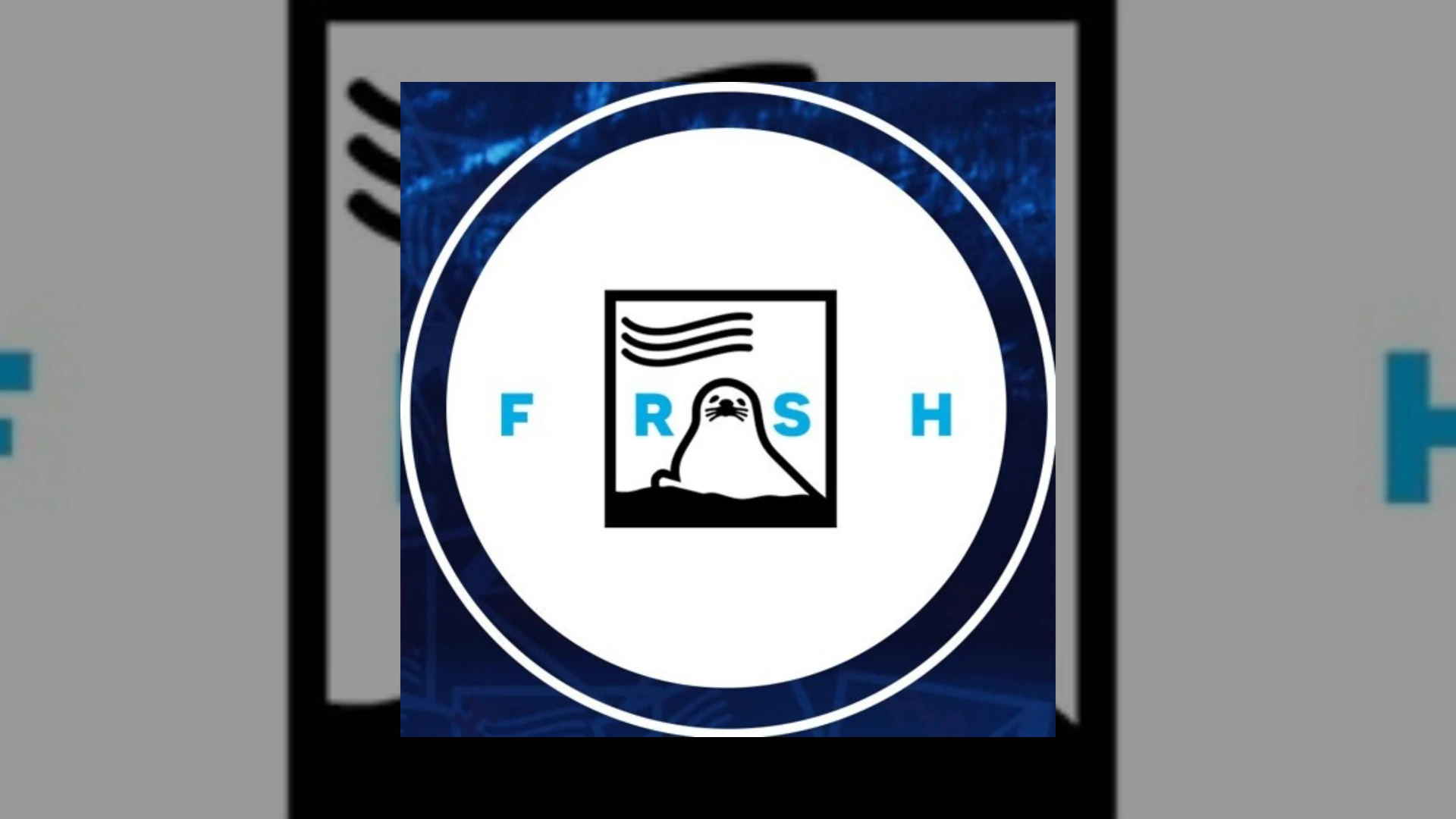frsh recordings