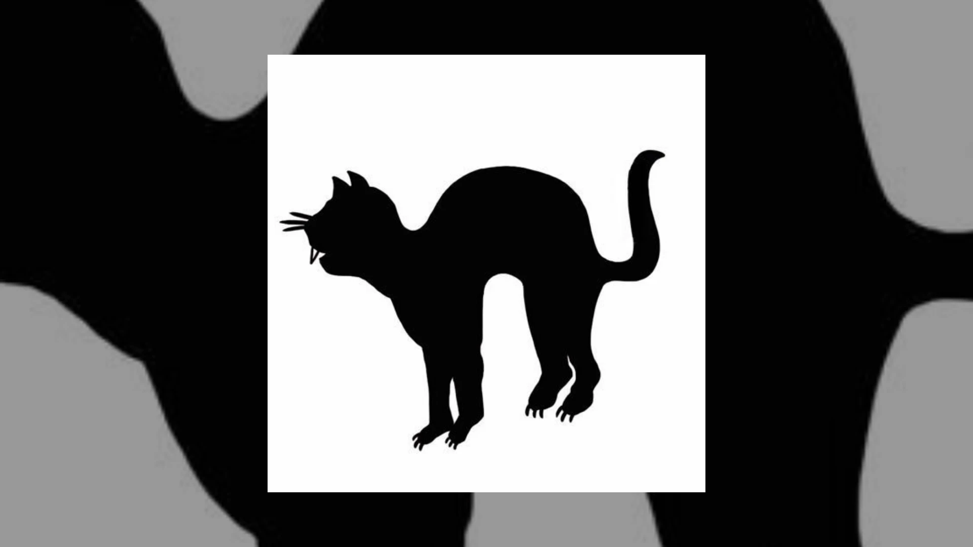 99 CATS Demo Submission | Contacts, A&R & Label Guide