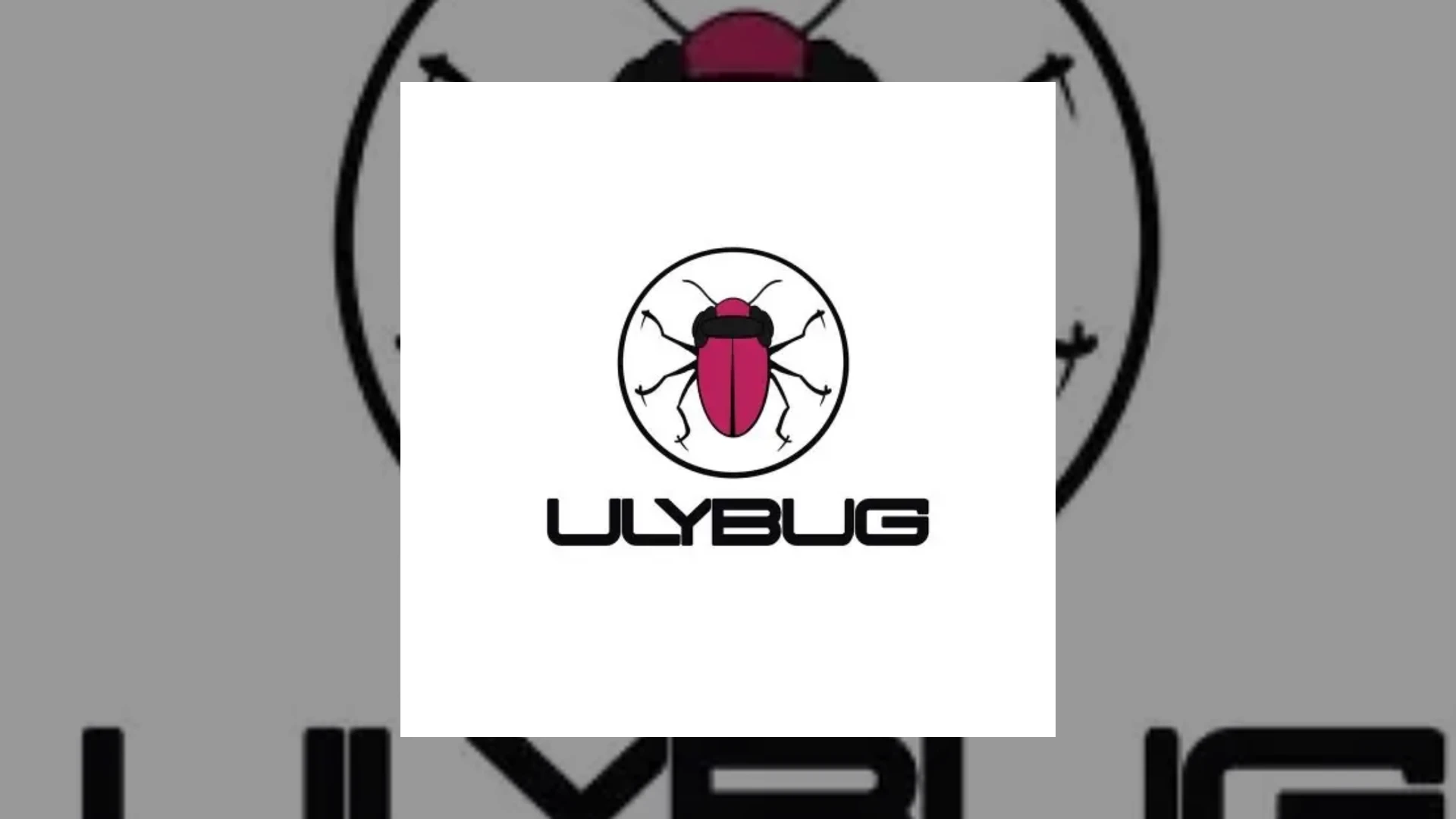 Ulybug Records Demo Submission | Contacts, A&R & Label Guide