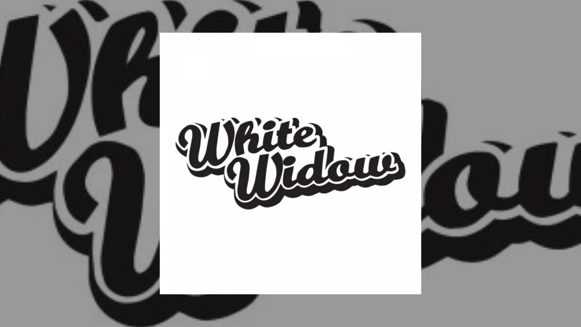 White Widow Records Demo Submission | Contacts, A&R & Label Guide