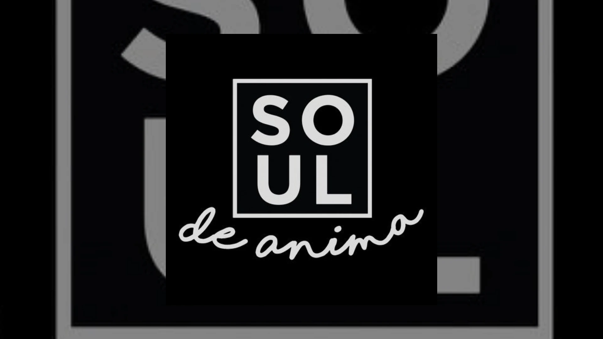 Soul De Anima Demo Submission | Contacts, A&R & Label Guide